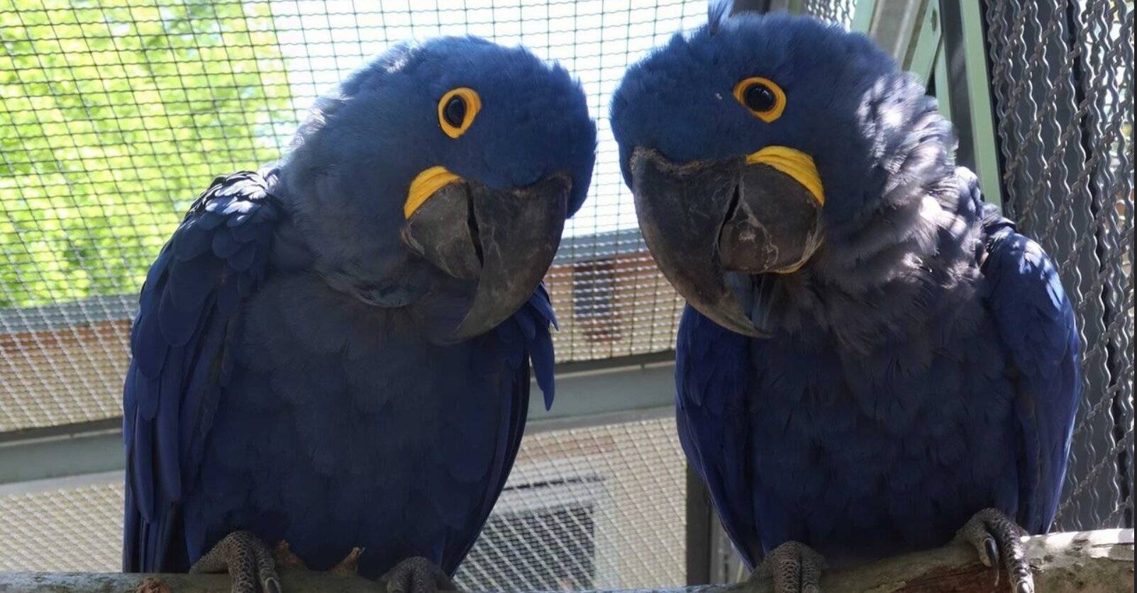 Sie sind nun in Hoyerswerda.