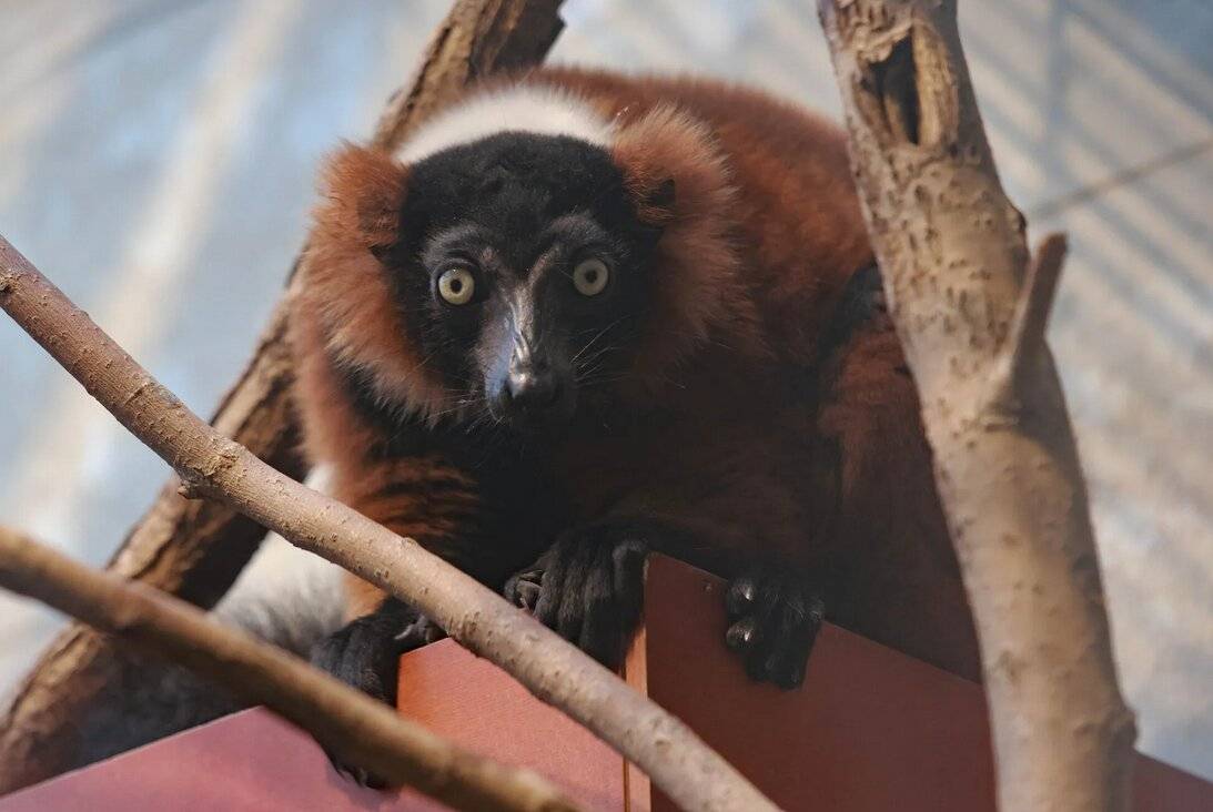 „Alfie“ lebt nun in Mecklenburg-Vorpommern.