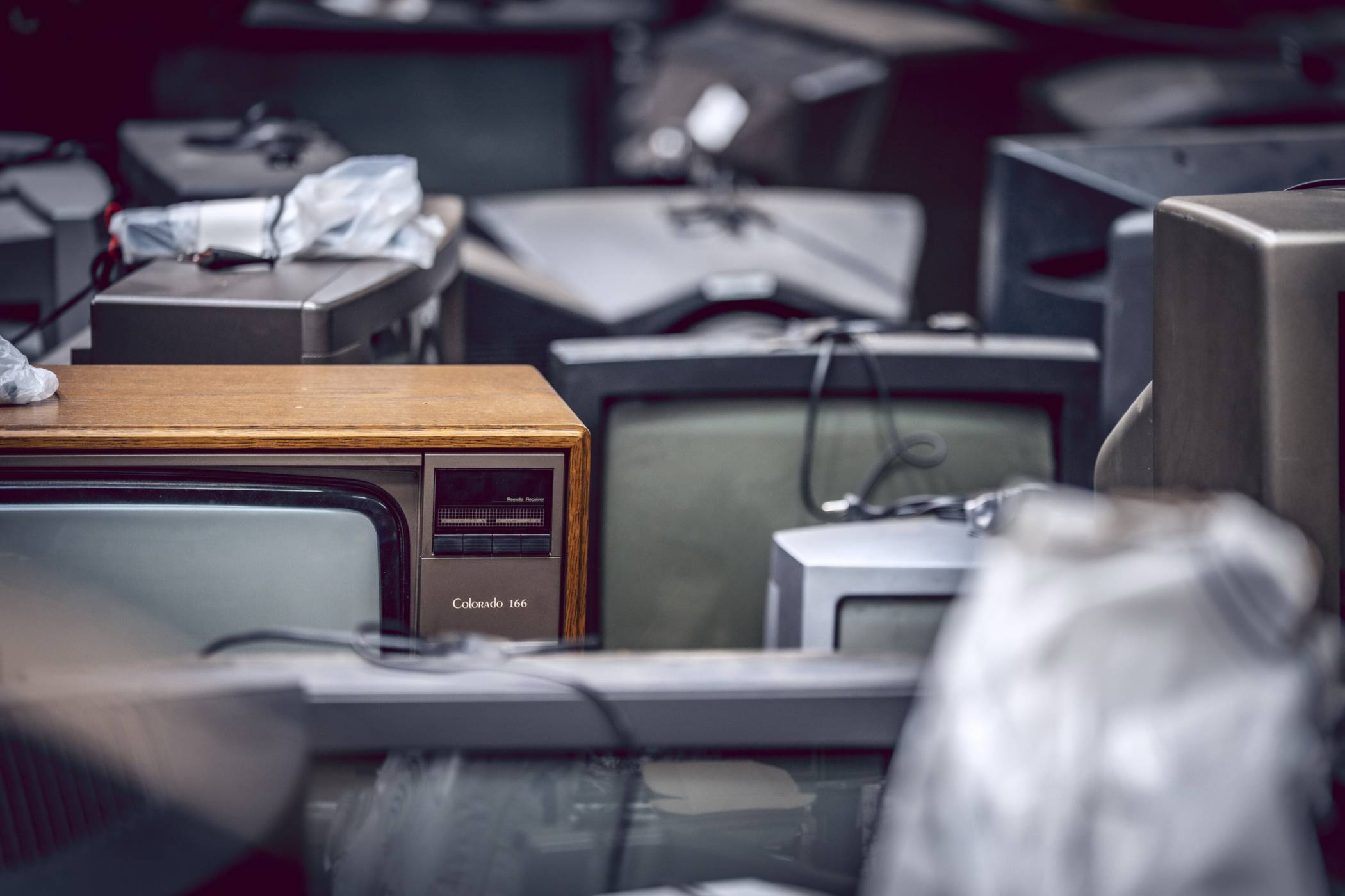  Einige der „Schätzchen“. 