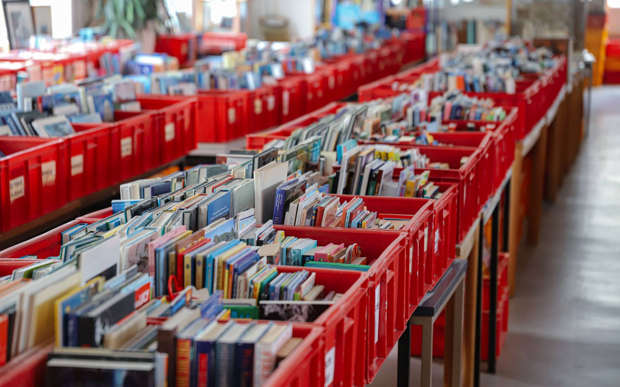 Alles sortiert– die Büchertafel.