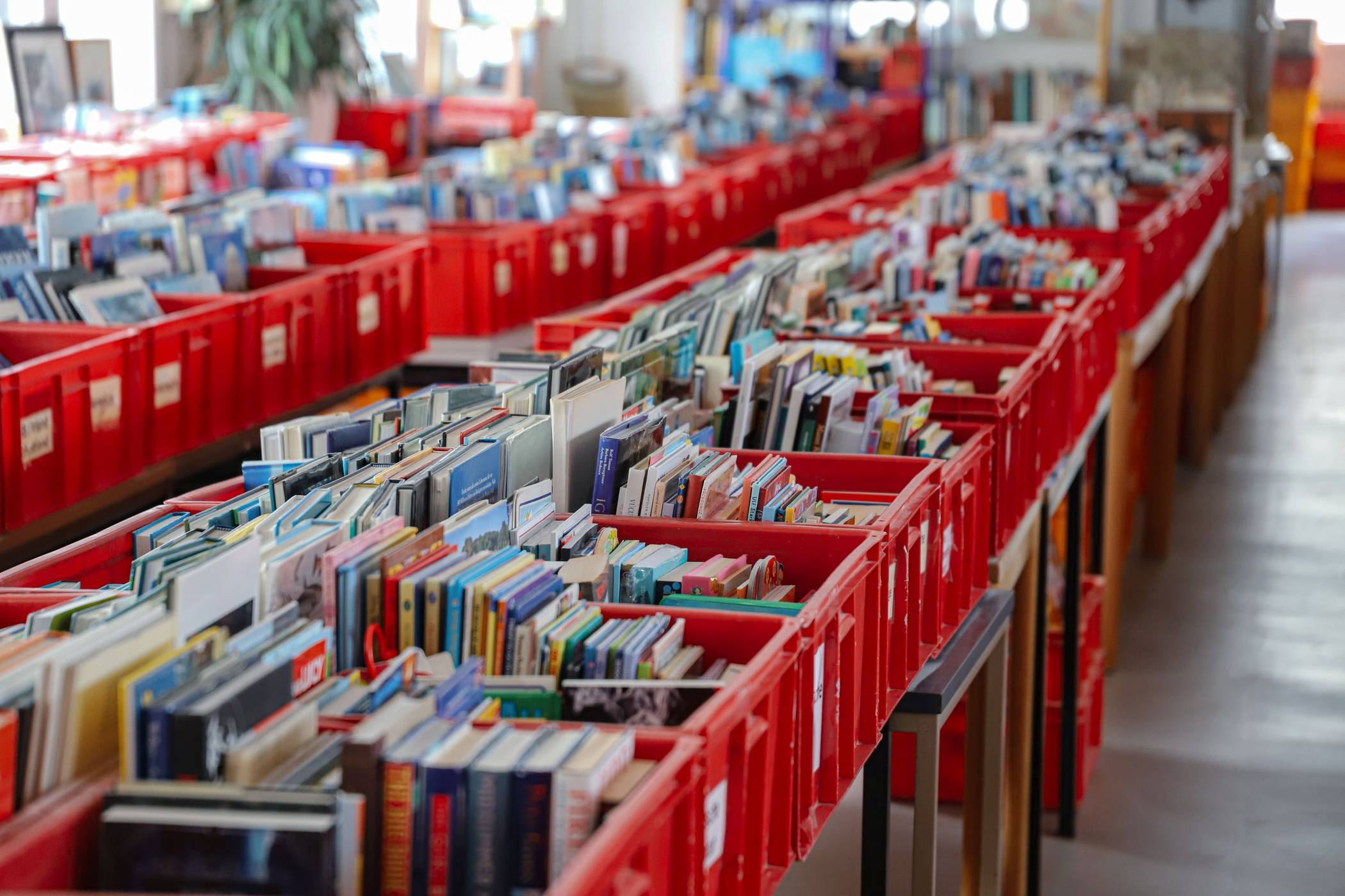  Alles sortiert– die Büchertafel. 