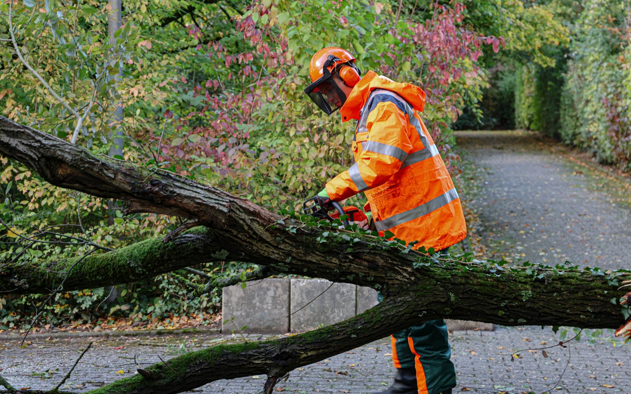 Bilder: Sturmbedingte Einsätze in Wuppertal