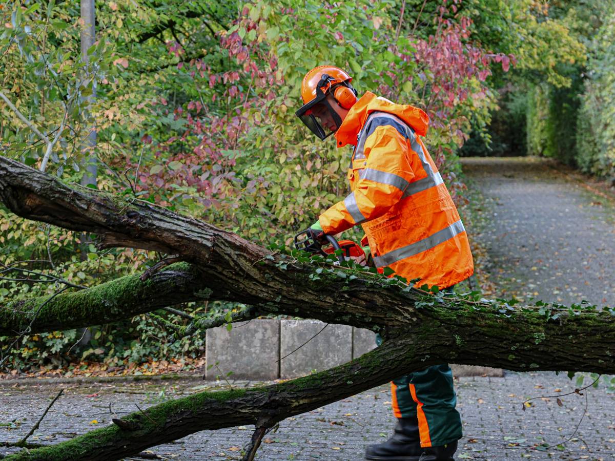 Sturmbedingte Einsätze