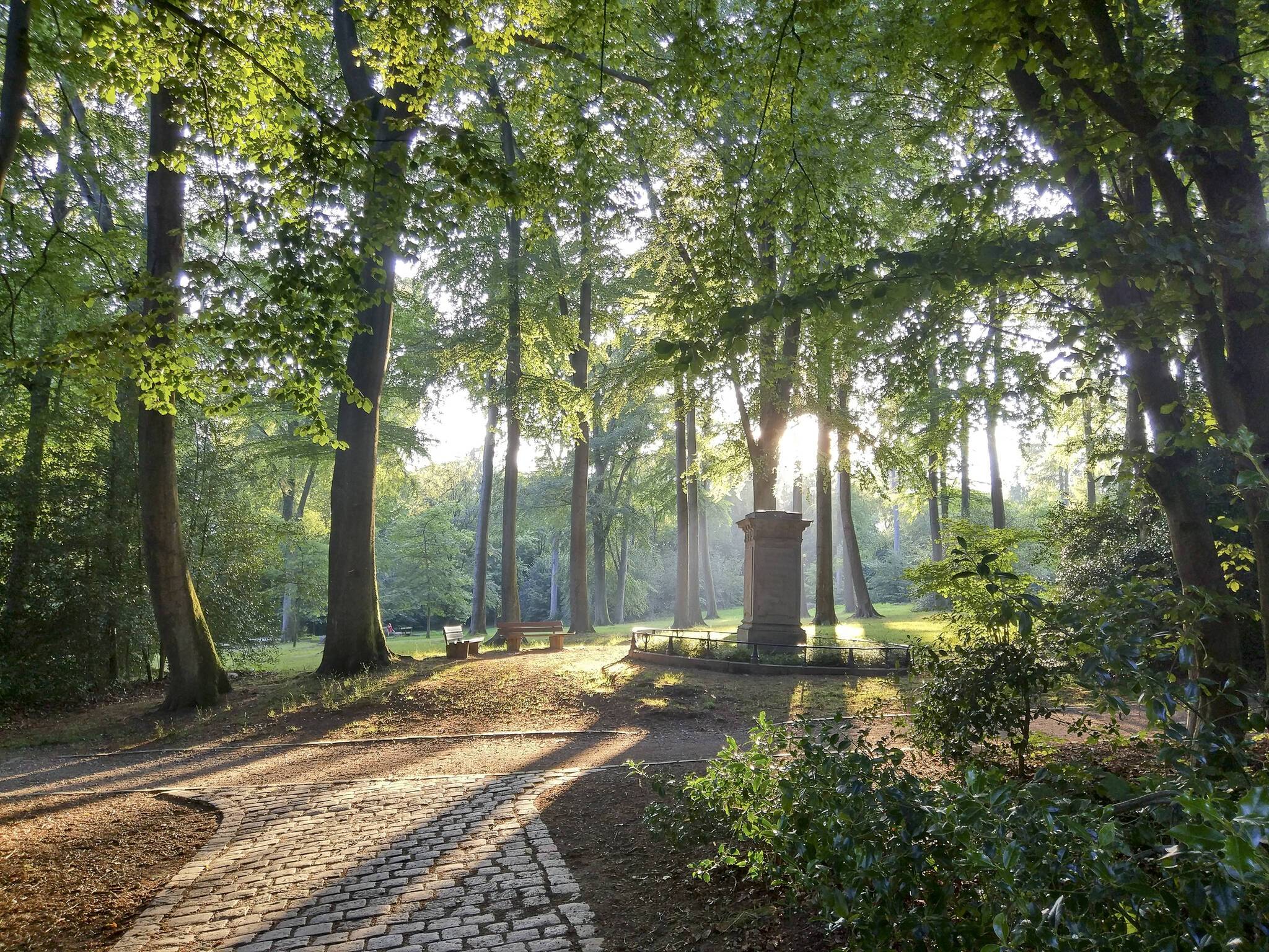 Der Mirker Hain. Das Bild schoss Thomas Hogrebe für den Wuppertaler Fotopreis 2020.