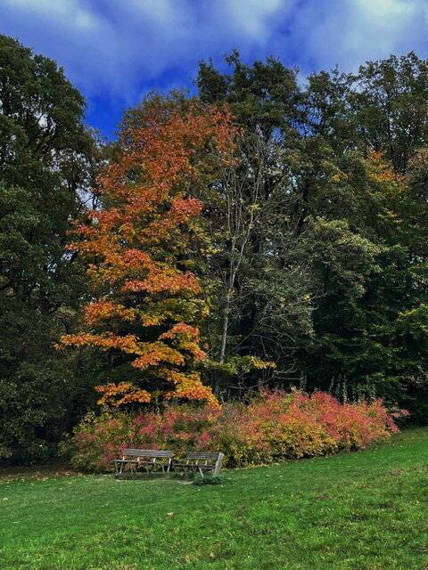 Farbenfrohes Ensemble im...