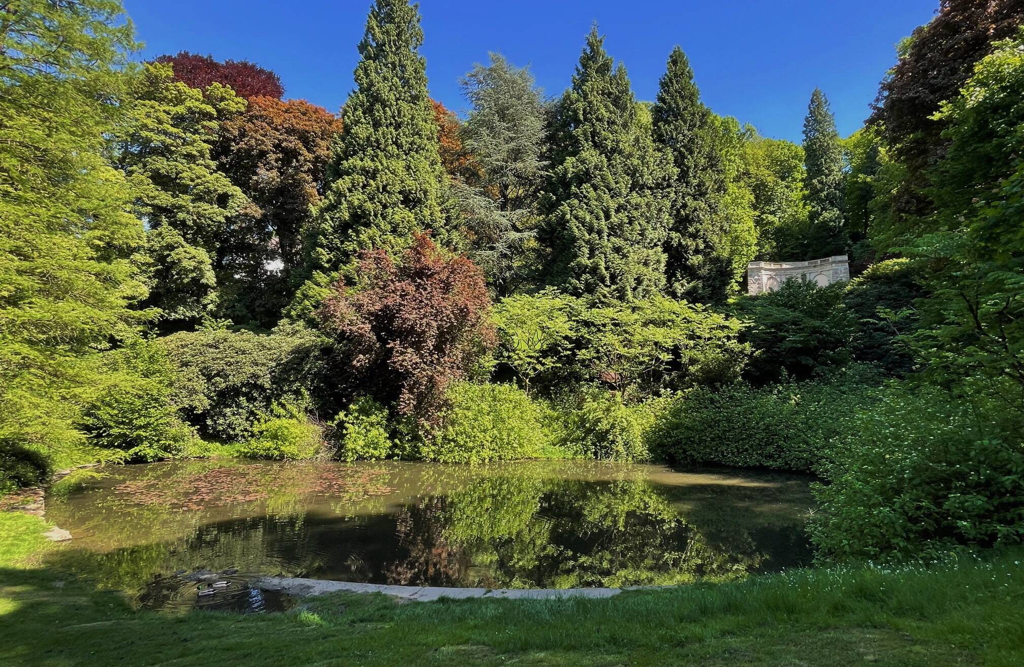 Herrliches Farbenbild hinter dem Teich im Ringeltal, der in Kürze saniert...