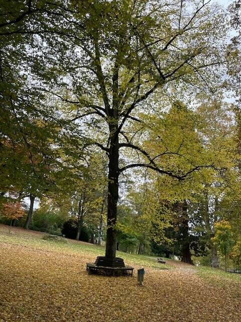 Die nach dem vierten BVV-Vorsitzenden genannte (Ernst-Wilhelm-)Otto-Budde-Allee führt...