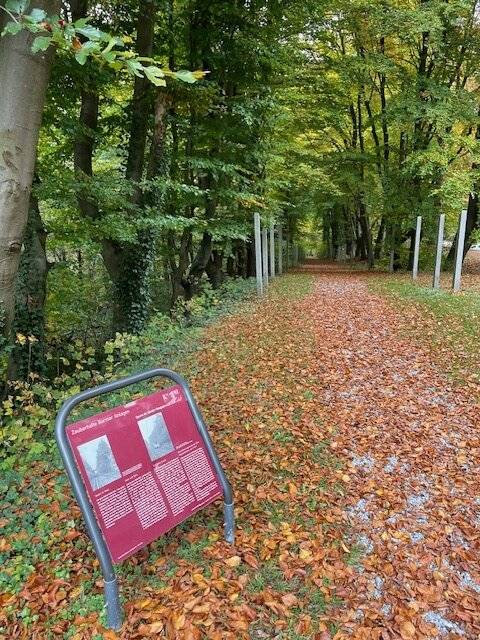 Ein Abschnitt der ehemaligen Bergbahntrasse...