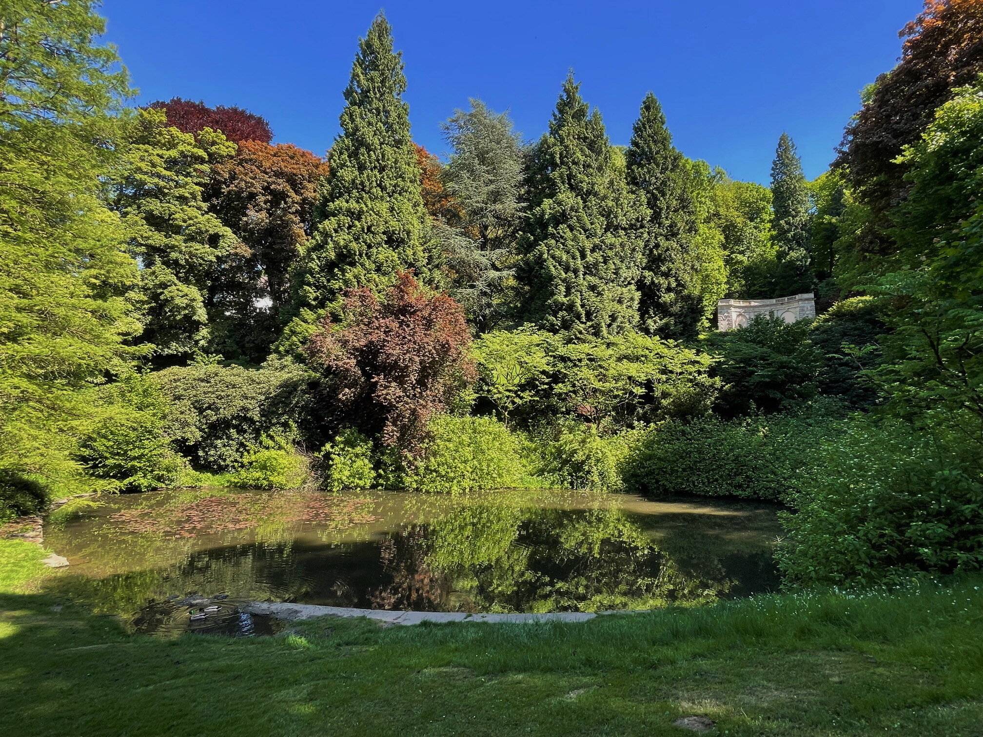  Herrliches Farbenbild hinter dem Teich im Ringeltal, der in Kürze saniert wird. 
