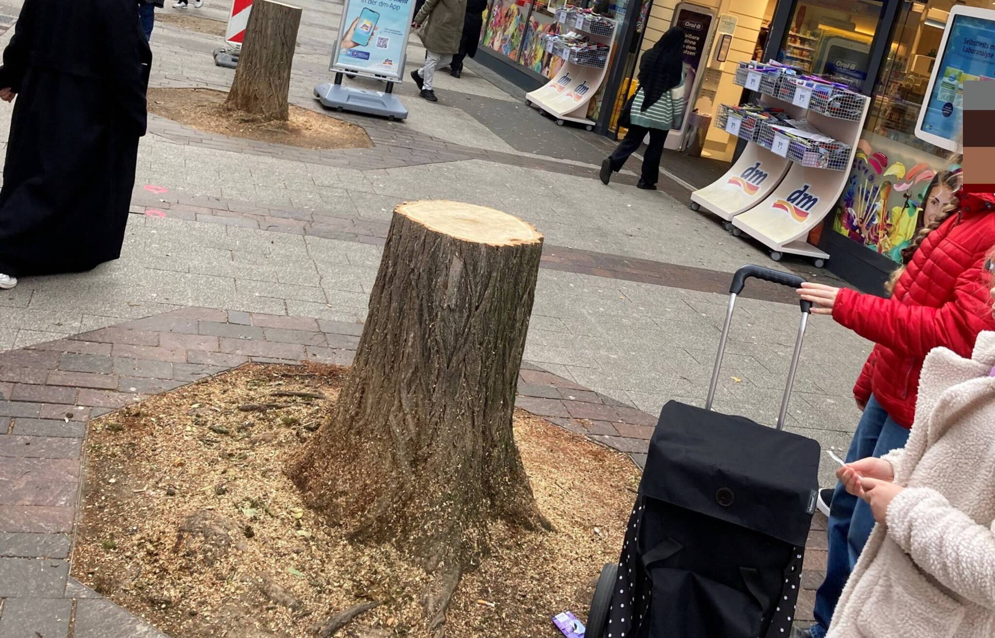 Die Stümpge auf dem Werth.