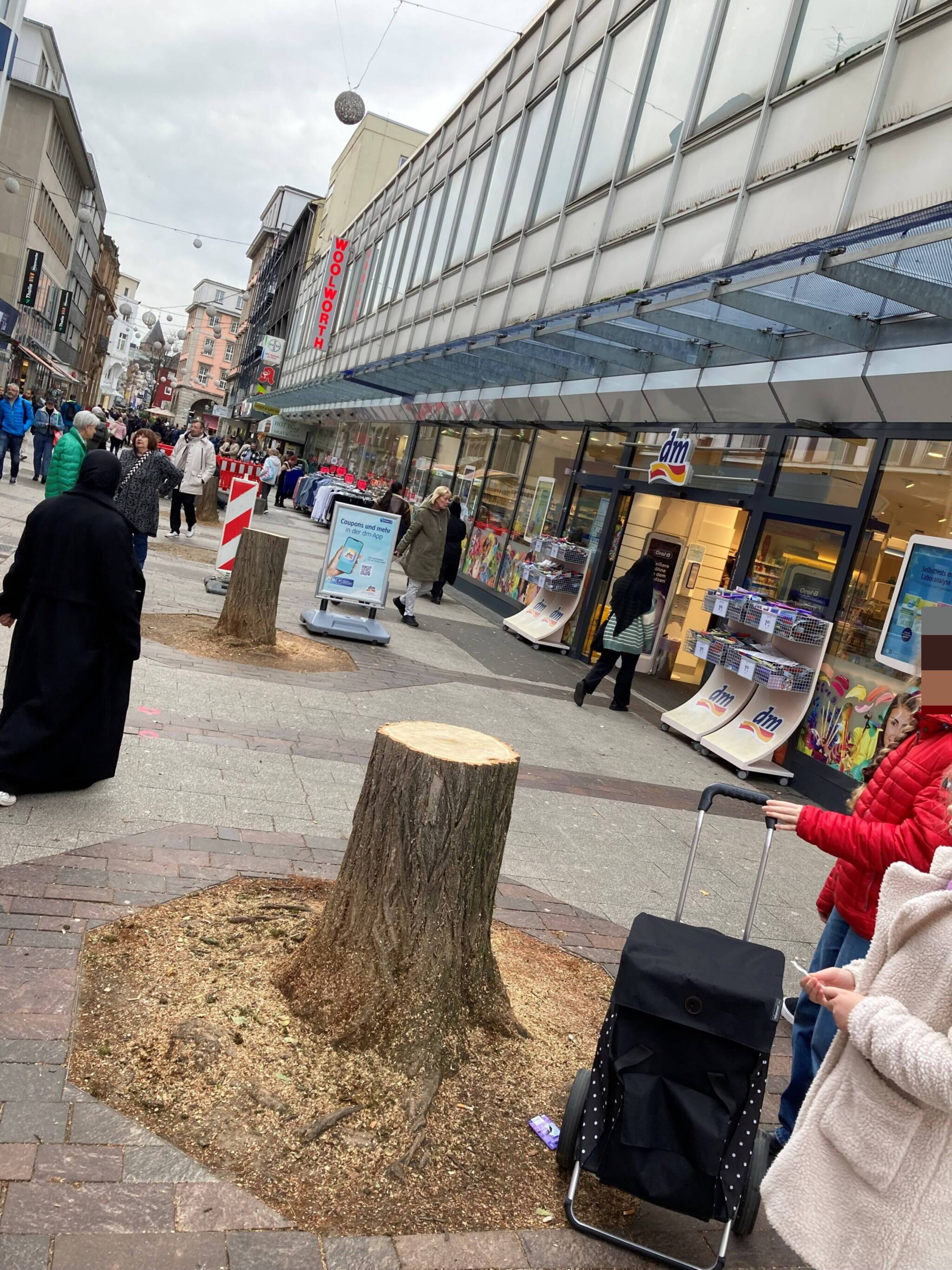  Die Stümpge auf dem Werth. 