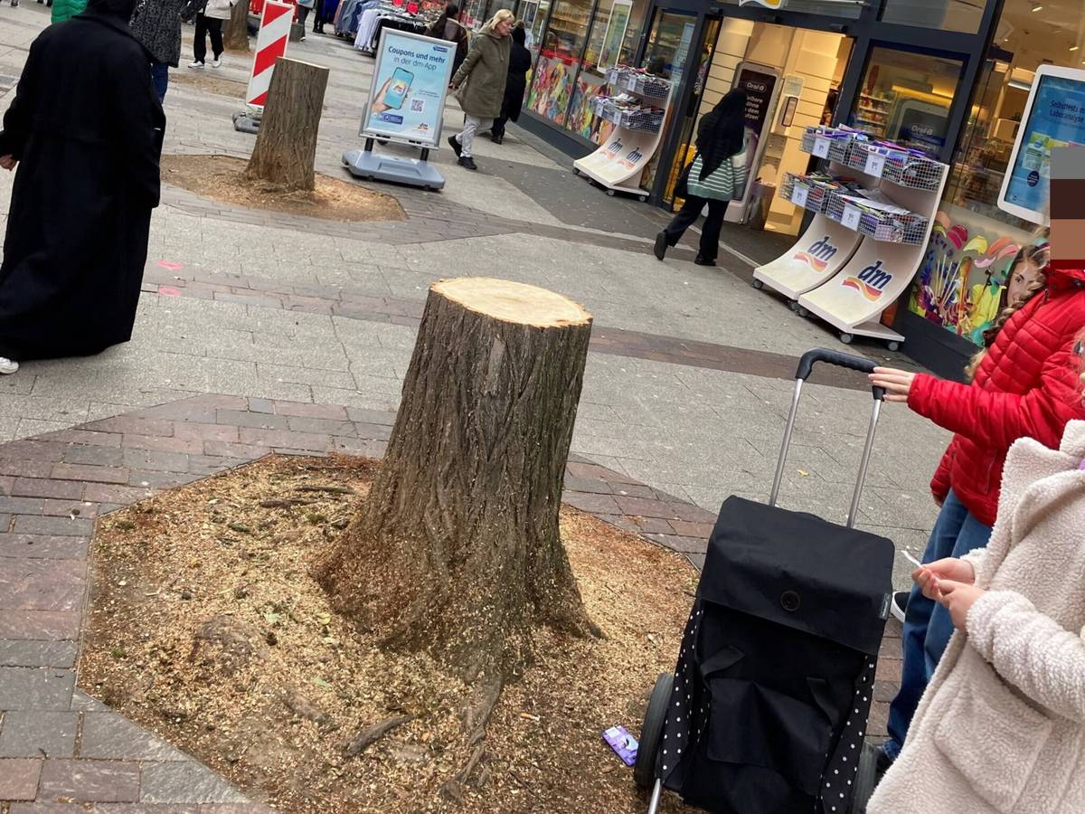 „Natur hat keine Lobby“