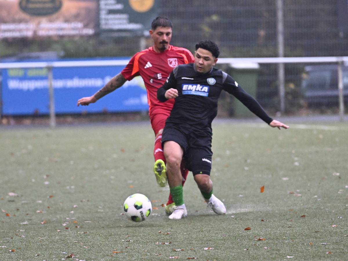 Sport-Ergebnisse vom 7. bis 9. November 2025