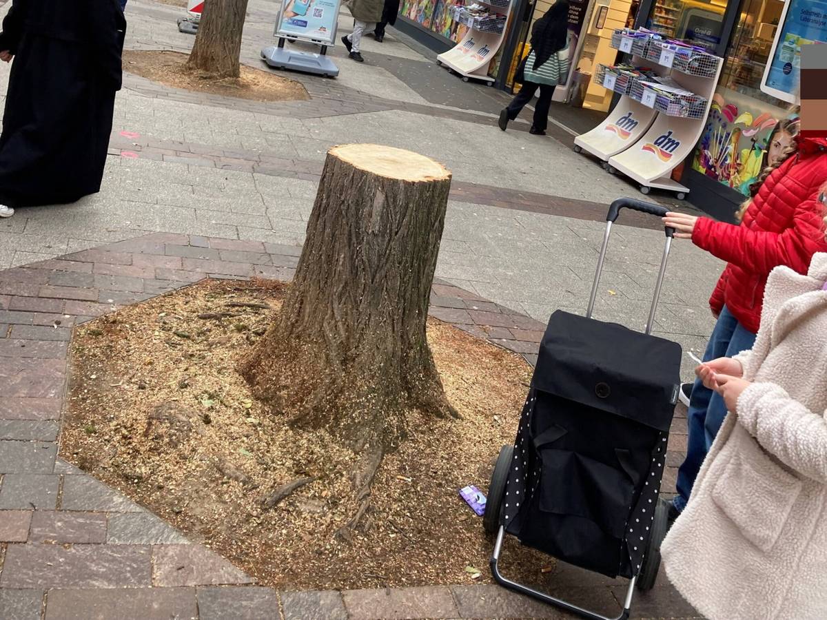 „Manchmal muss man auch Dinge nur lassen“