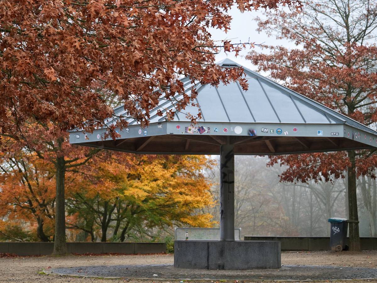 Bilderstrecke: Der Herbst im Barmer Nordpark