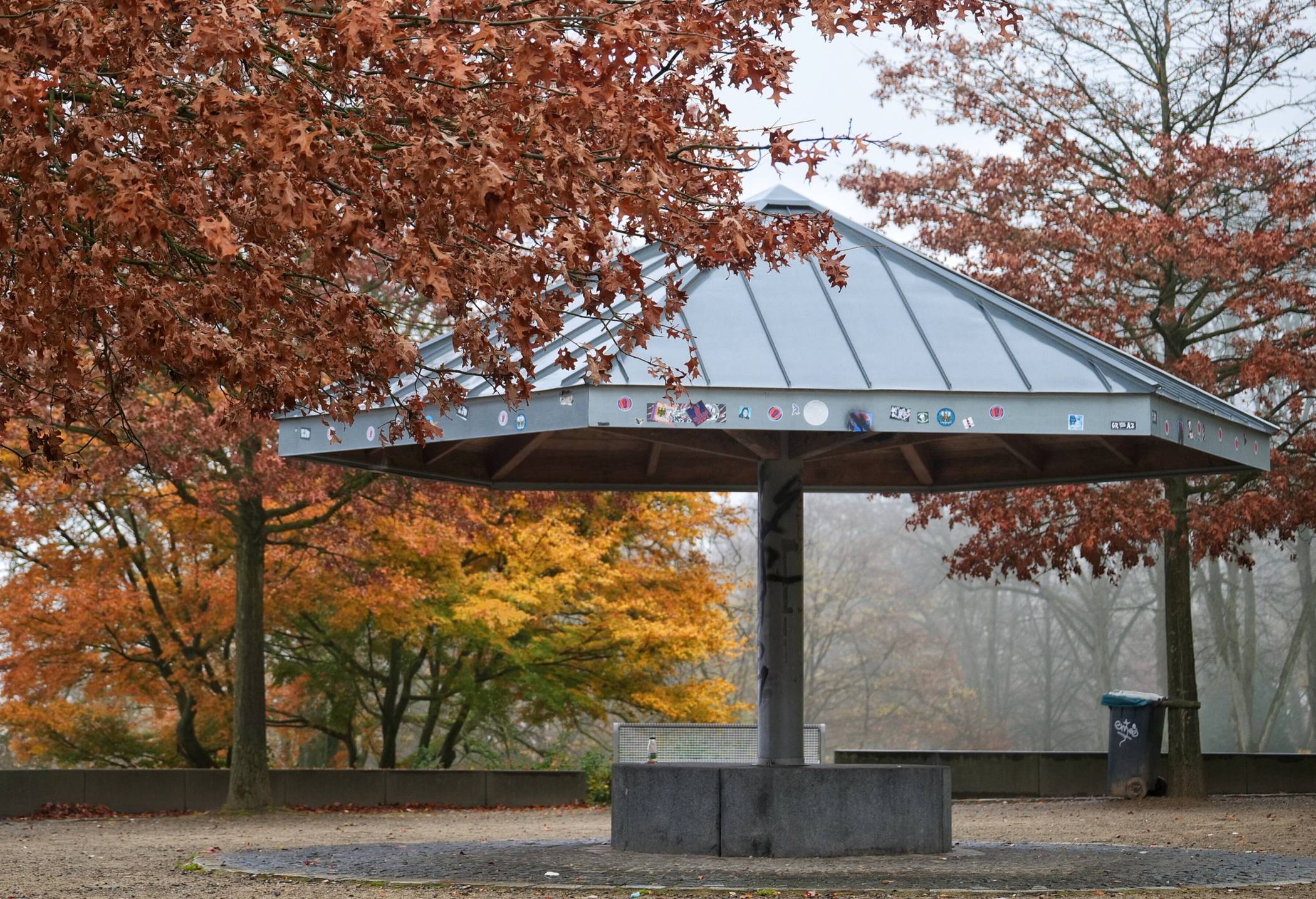  Farbenfreude trotz nicht so tollem Wetter. 