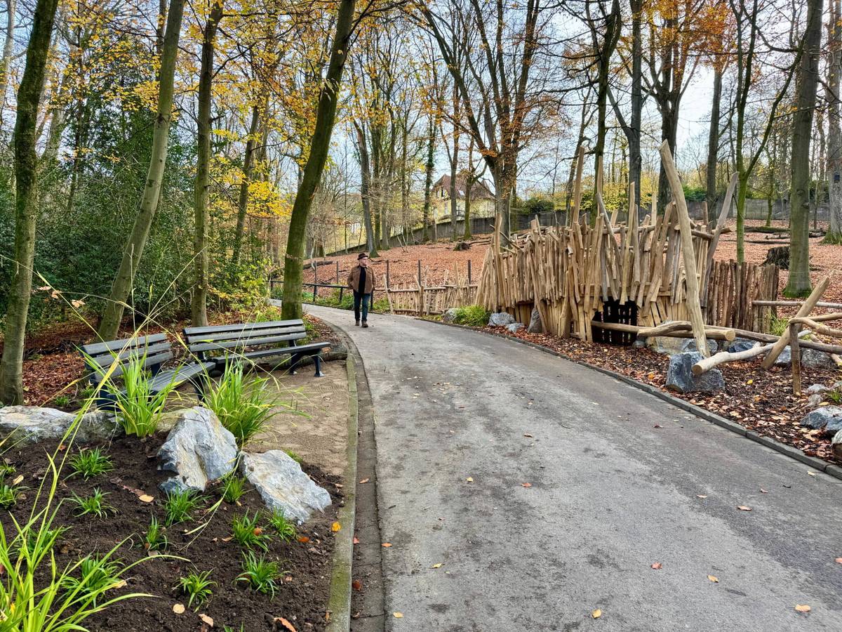 Podest bietet tollen Ausblick auf die Rentier-Anlage