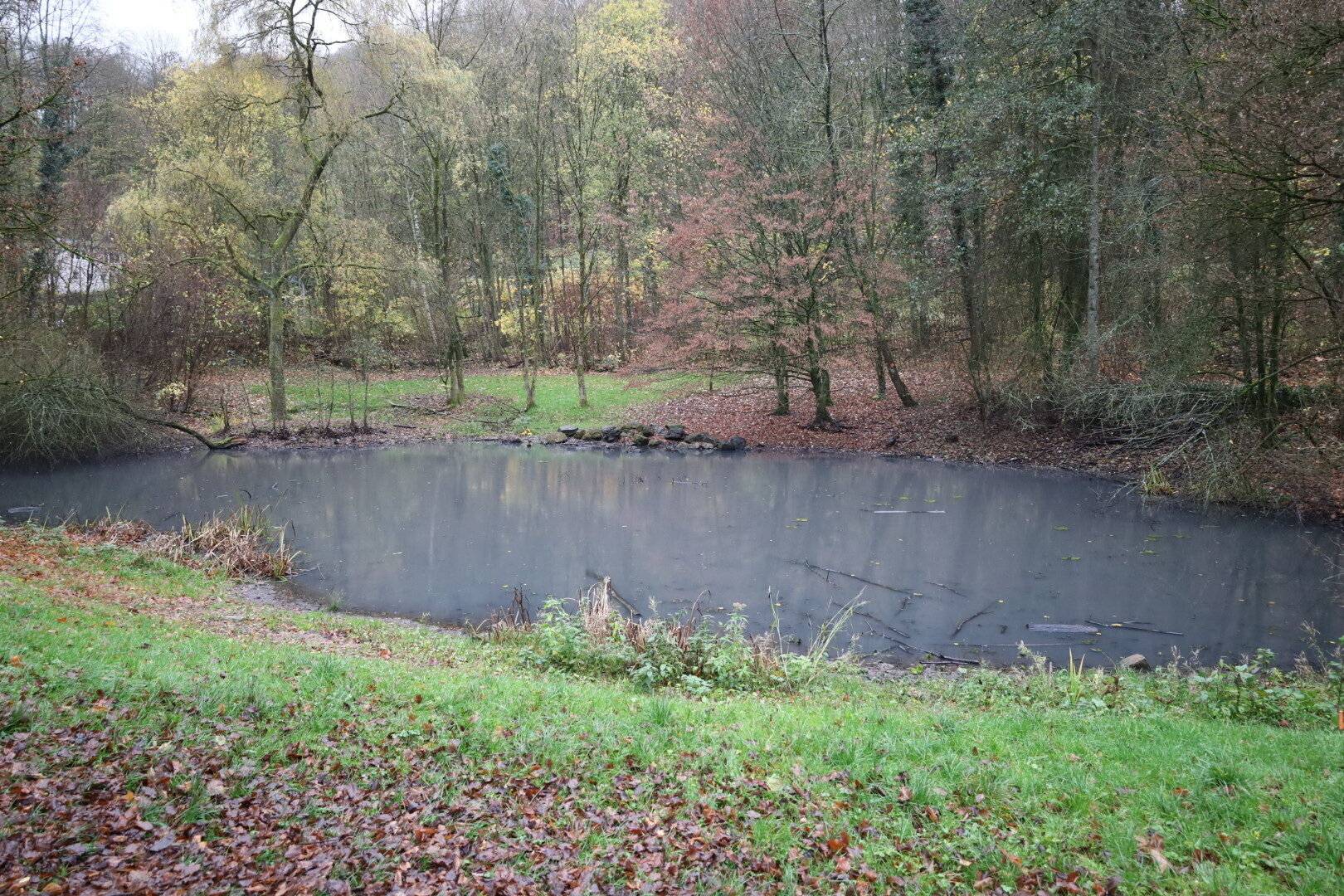 Der Bendahler Teich erhält durch die Maßnahme wieder einen Zufluss aus dem Bendahler...