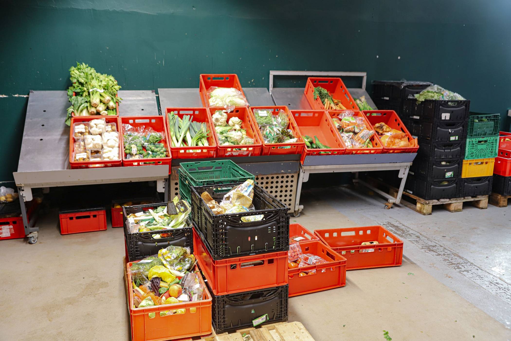  Lebensmittel in der Tafel am Werth. 