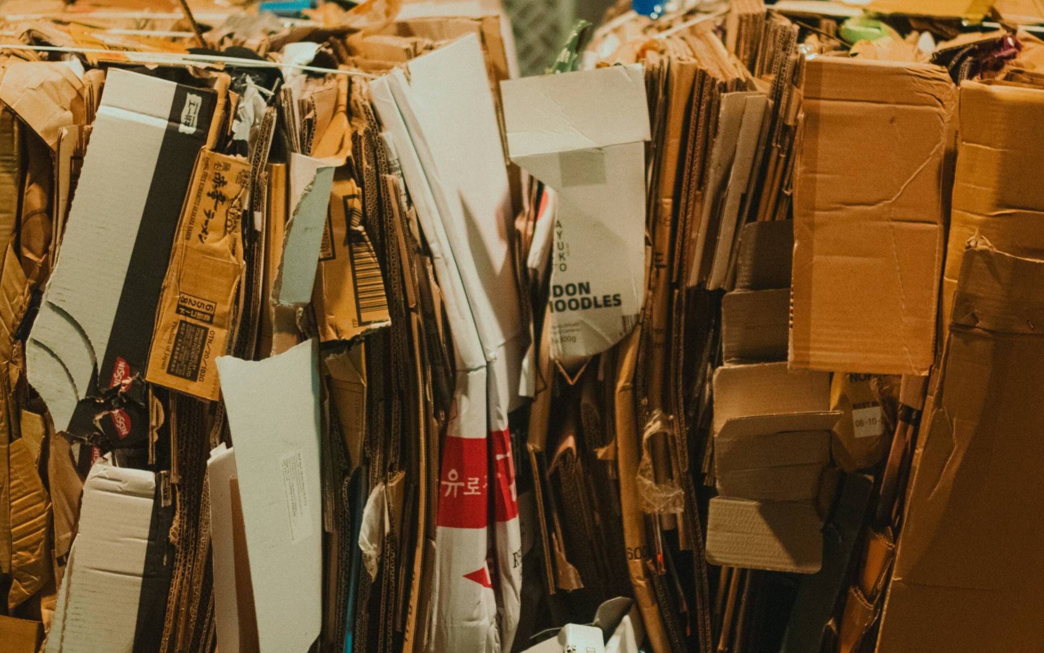 Die neuesten Entwicklungen in der Verpackungsbranche
