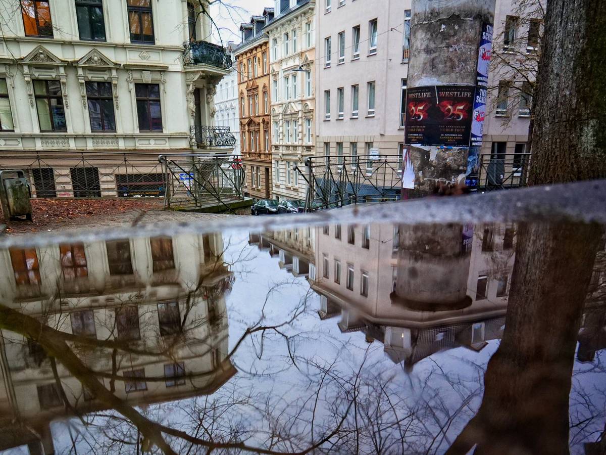 Der Ölberg im Dezember 2025
