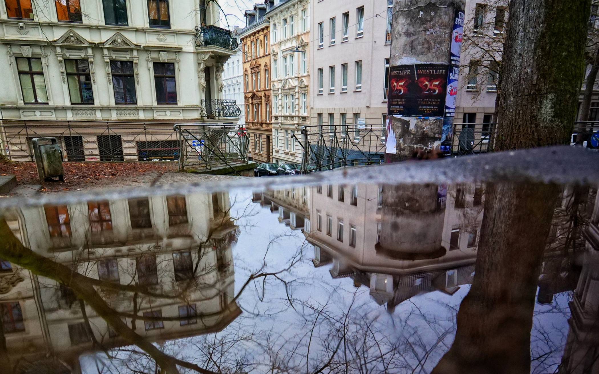 Der Ölberg im Dezember 2025
