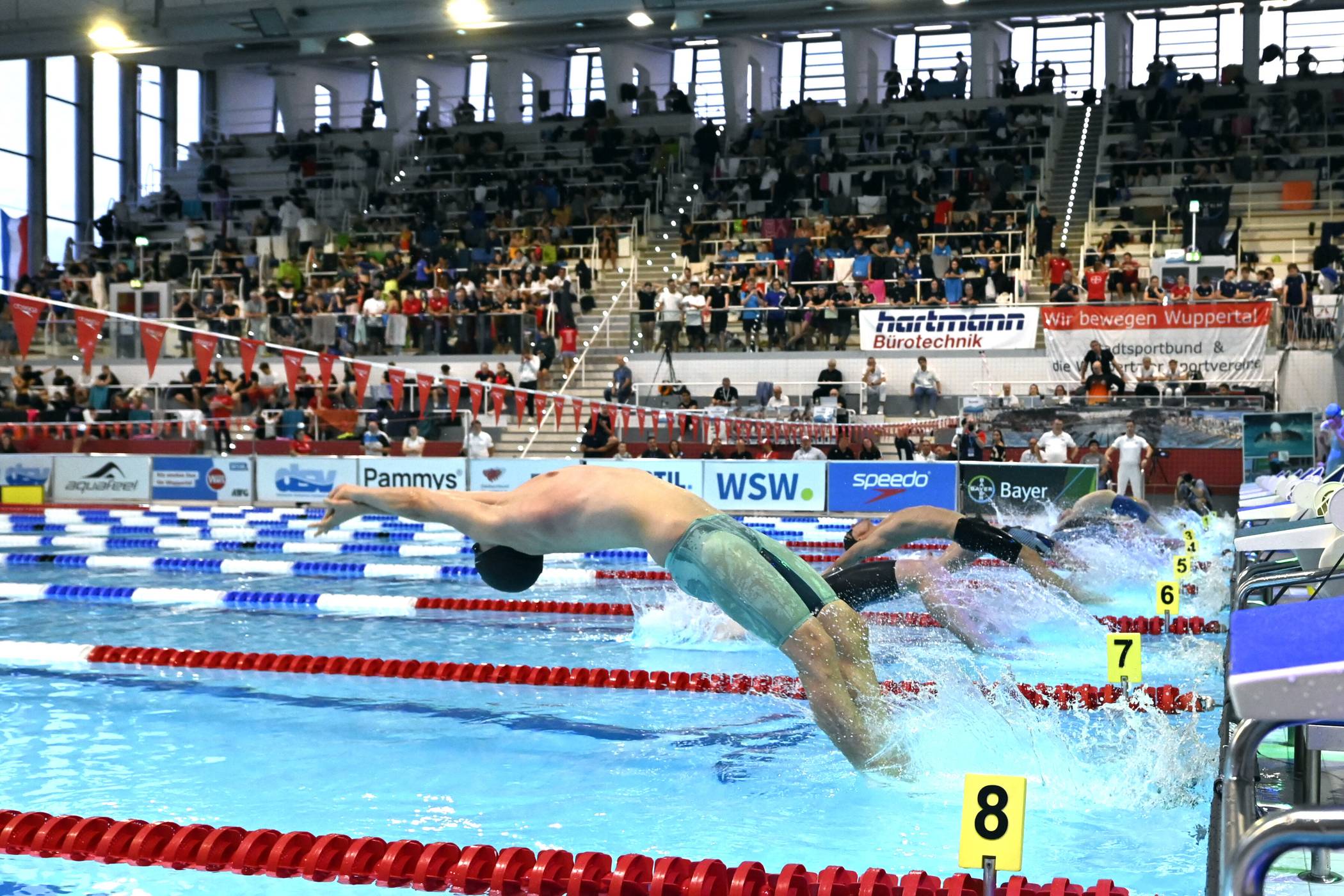  Die Schwimmoper während der Kurzbahn-DM. 