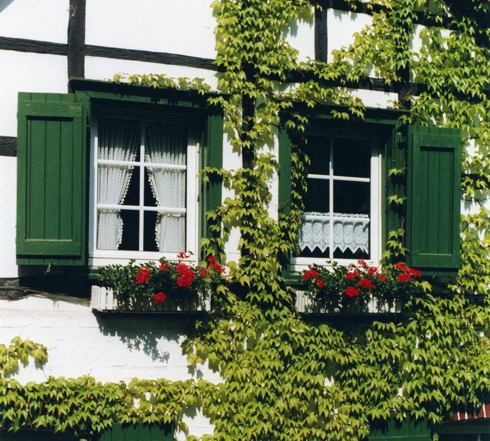 Neuer Glanz für Höfe, Vorgärten und Fassaden