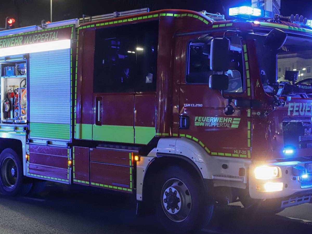 Feuerwehr rettet Menschen und Katzen