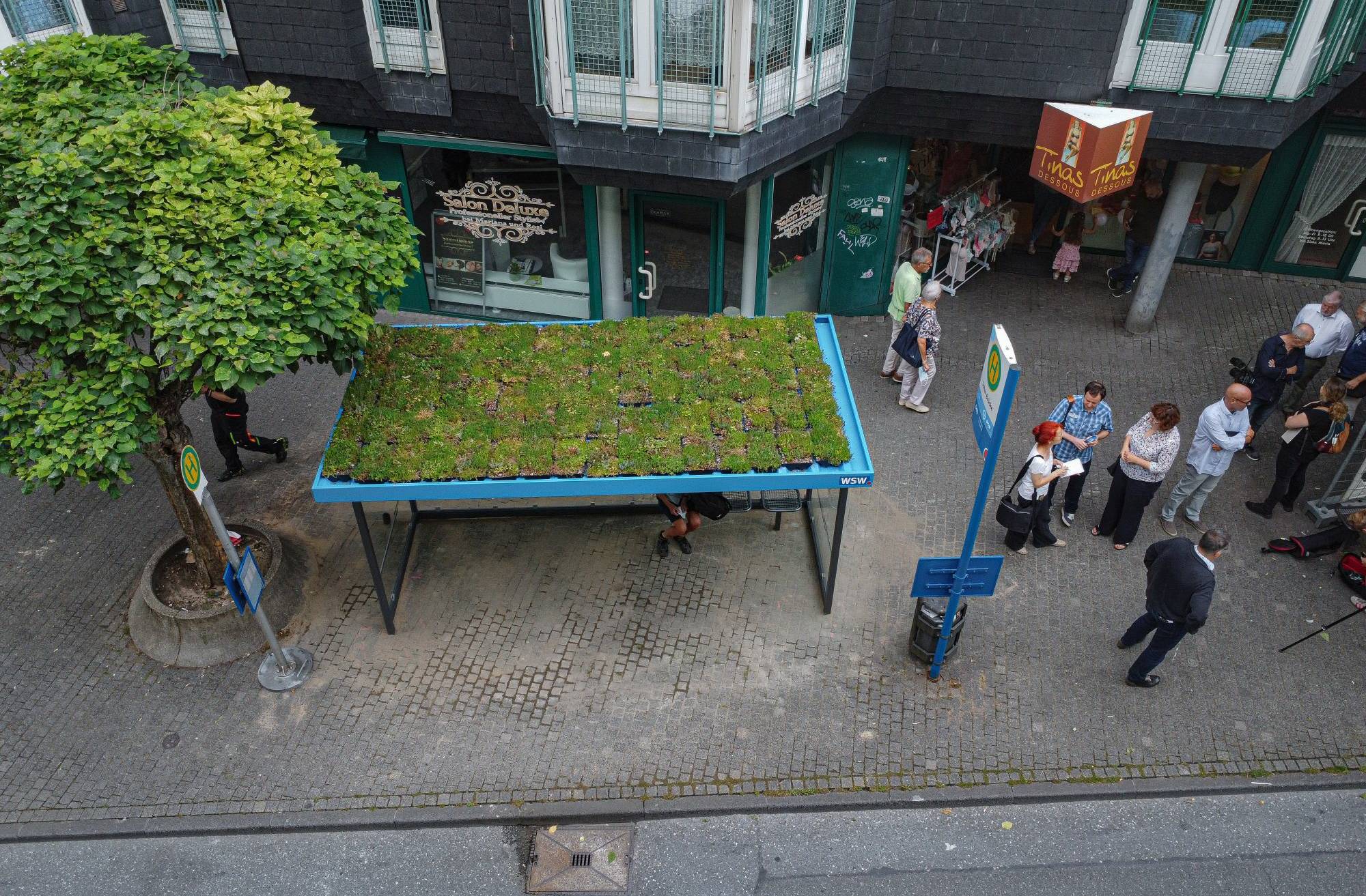 Begrüntes Dach an der Haltestelle Loher