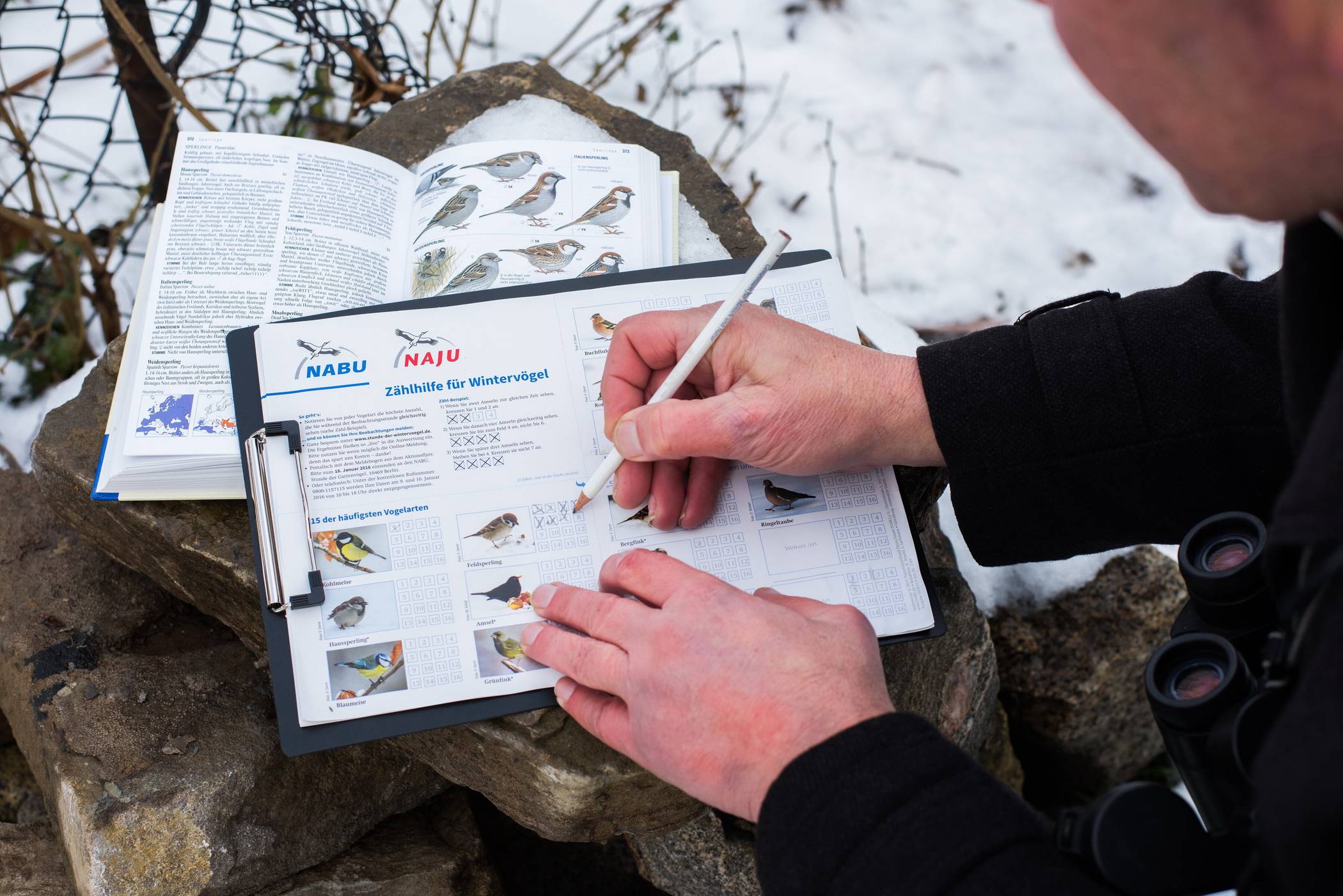 Die Tiere werden entsprechend notiert.