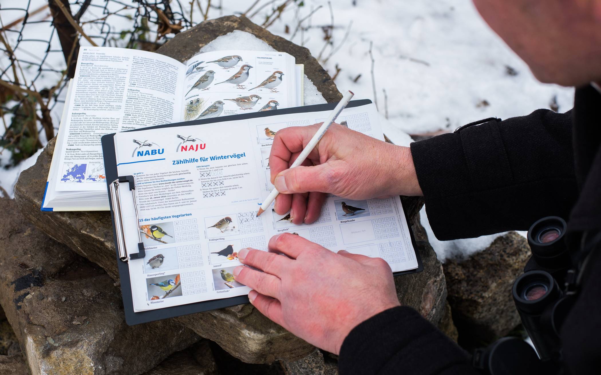 Die Tiere werden entsprechend notiert.