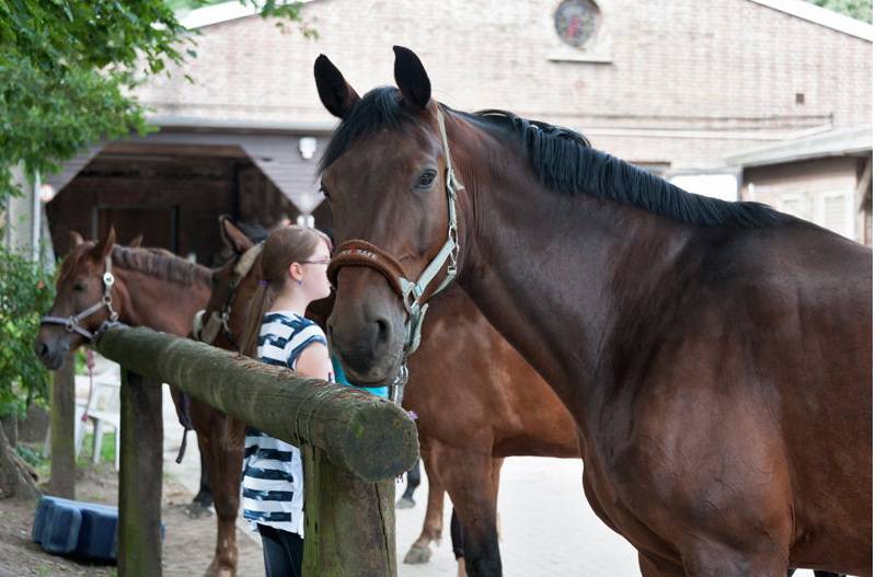  Auch der Reitsport ist im Ferienangebot. 