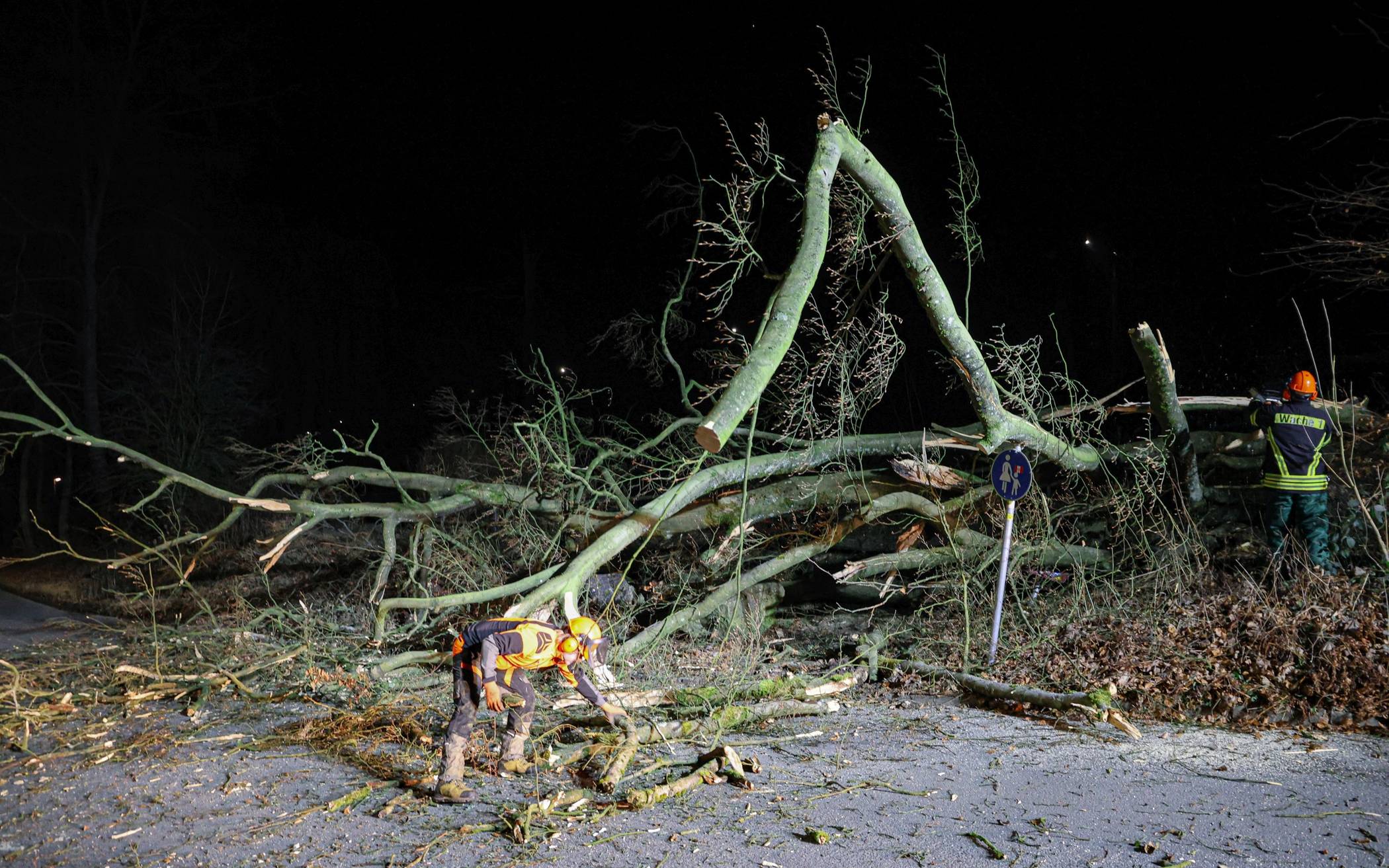 Bilder: Baum kippt auf die Wuppertaler Lönsstraße