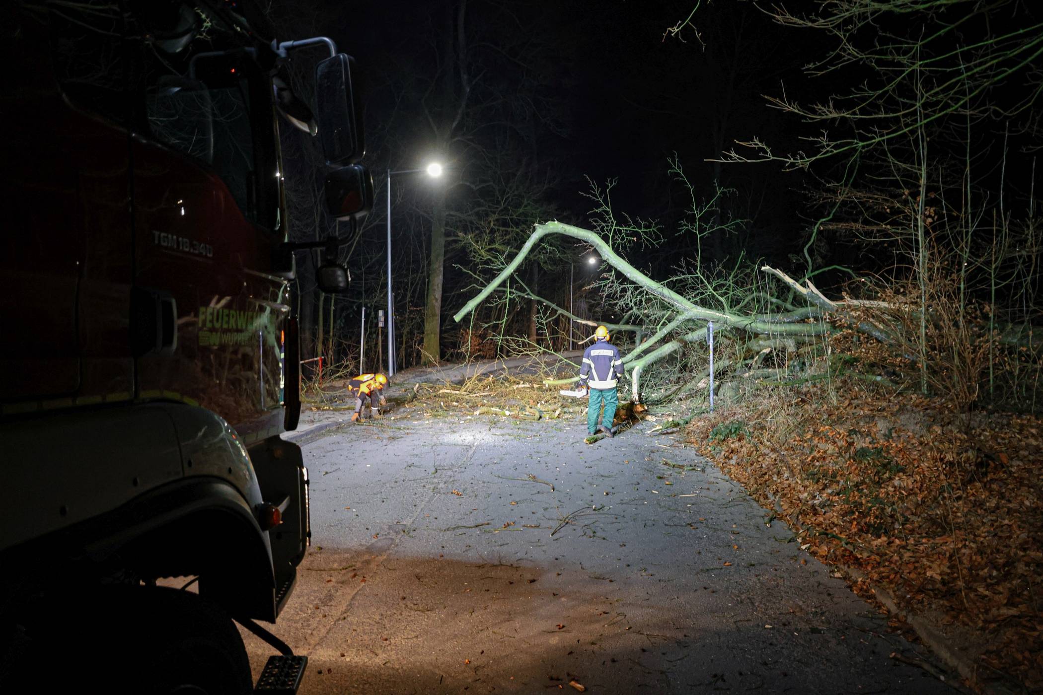  Die Feuerwehr zerkleinerte den Baum. 