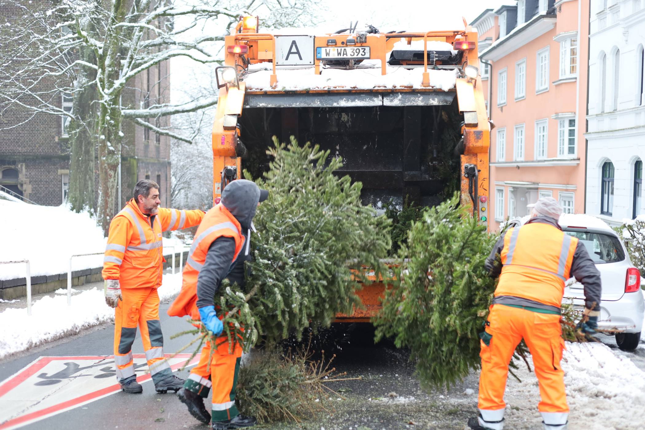  Bei der Aktion im Januar 2025 sammelte die AWG in Wuppertal gut 223,5 Tonnen Weihnachtsbäume ein. 