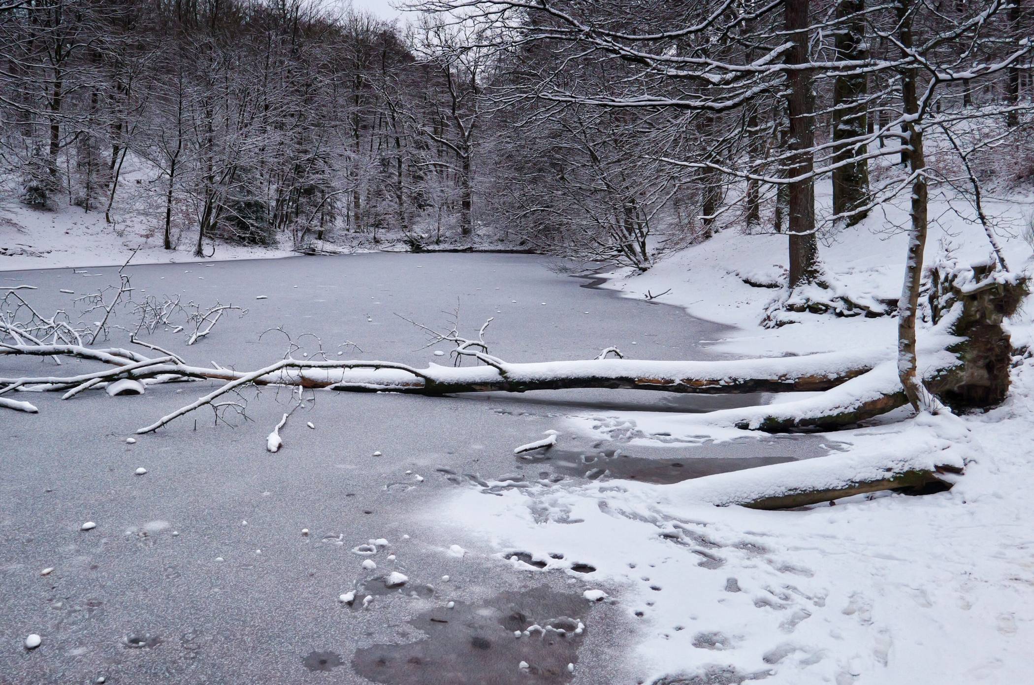  Die Eisfläche darf nicht betreten werden. 