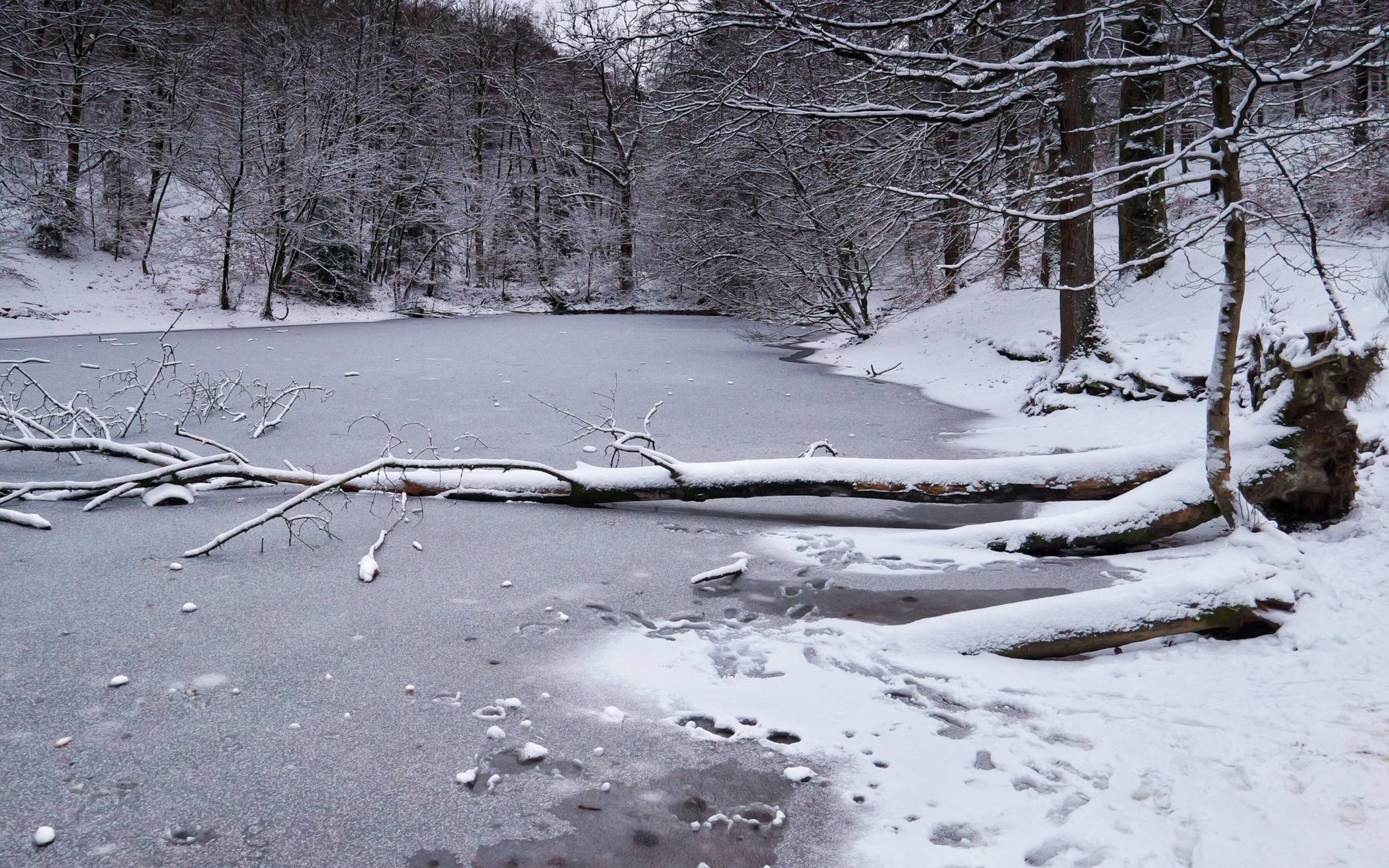 Die Eisfläche darf nicht betreten werden.
