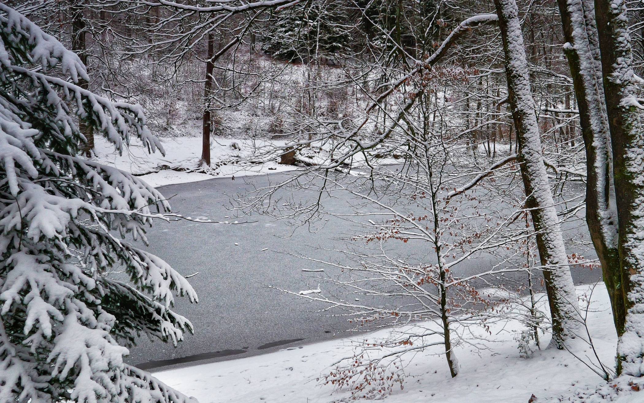 Auch der Waldsee in Vohwinkel hat