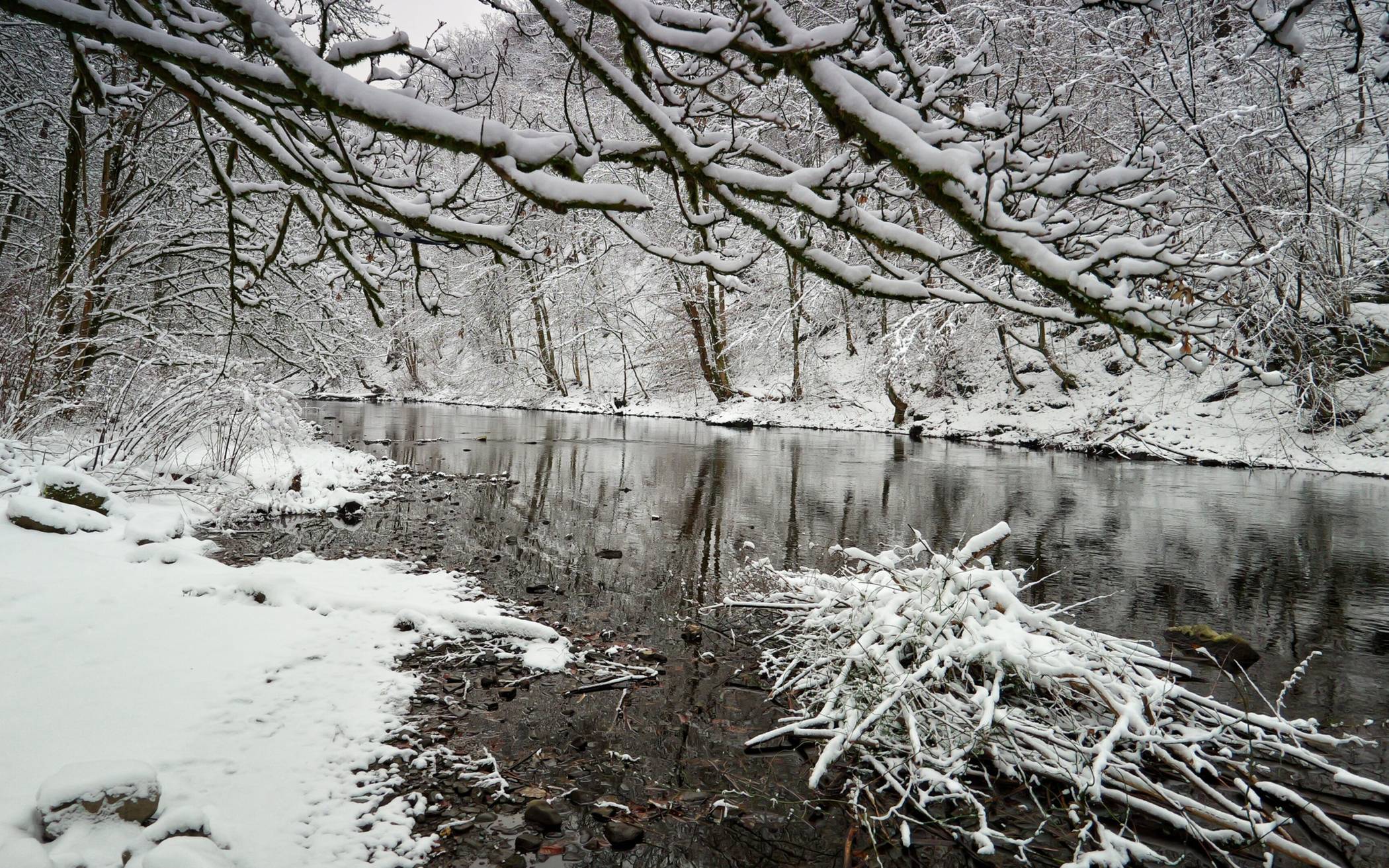 Bilder: Winterzauber an der Wupper im Januar 2026