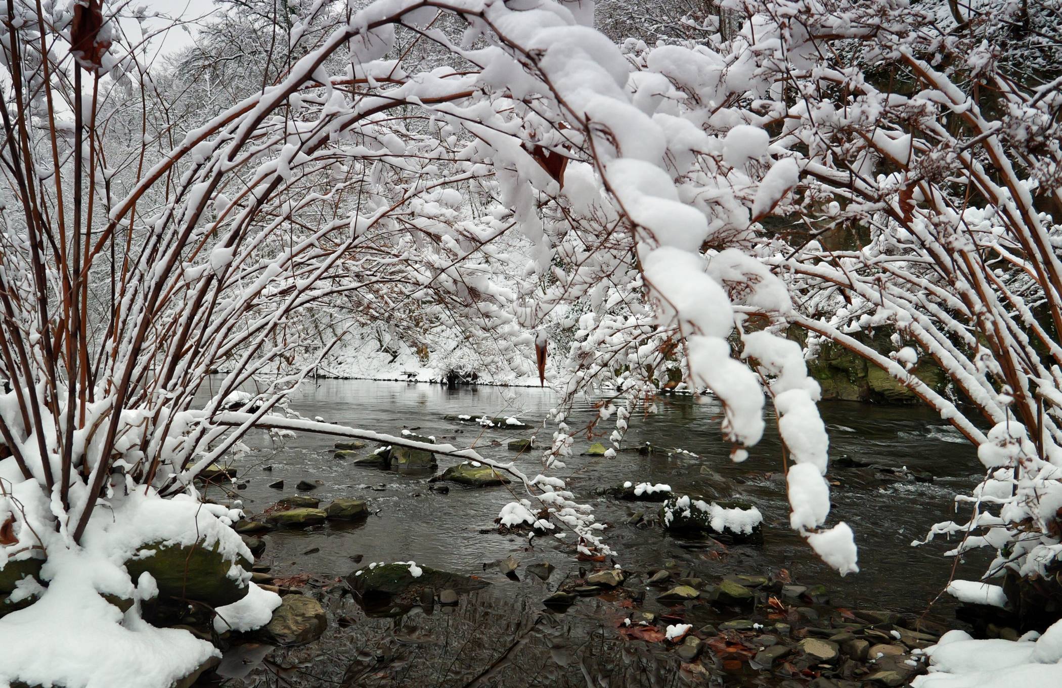  Der Fluss mit weißer Umrandung. 