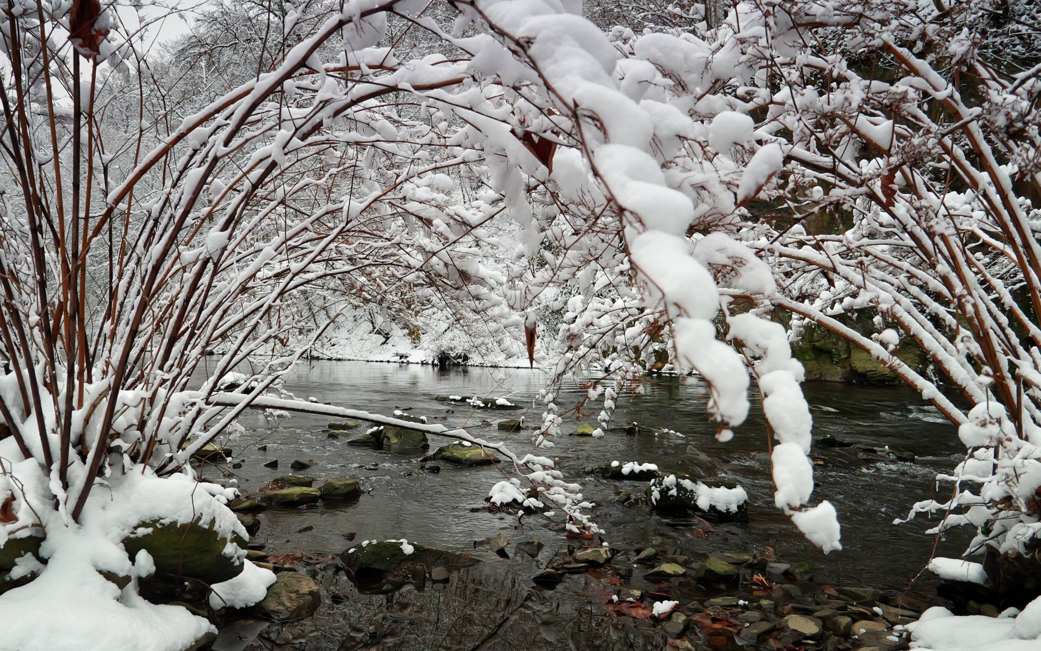 Der Fluss mit weißer Umrandung.