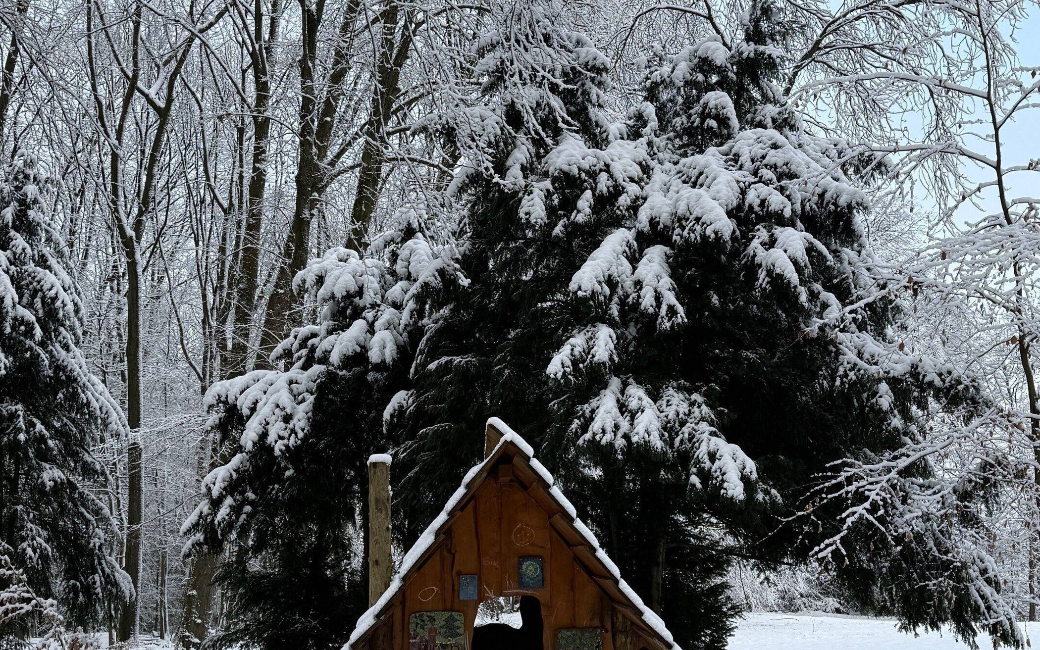 Bilder: Winter in Ronsdorfer Anlagen im Januar 2026