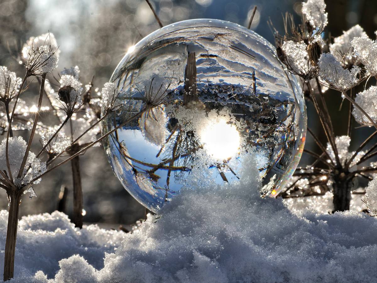 Ein traumhafter Wintertag
