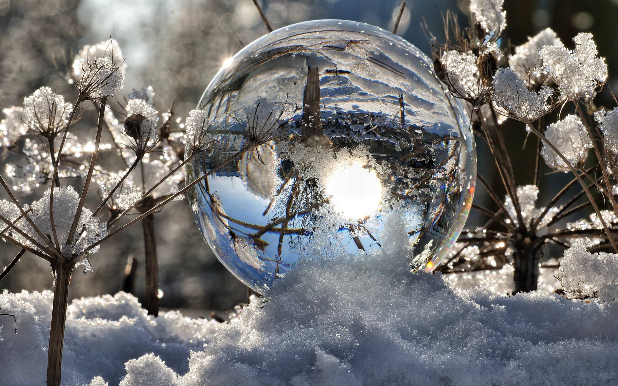 Bilder: Ein traumhafter Wintertag in Wuppertal