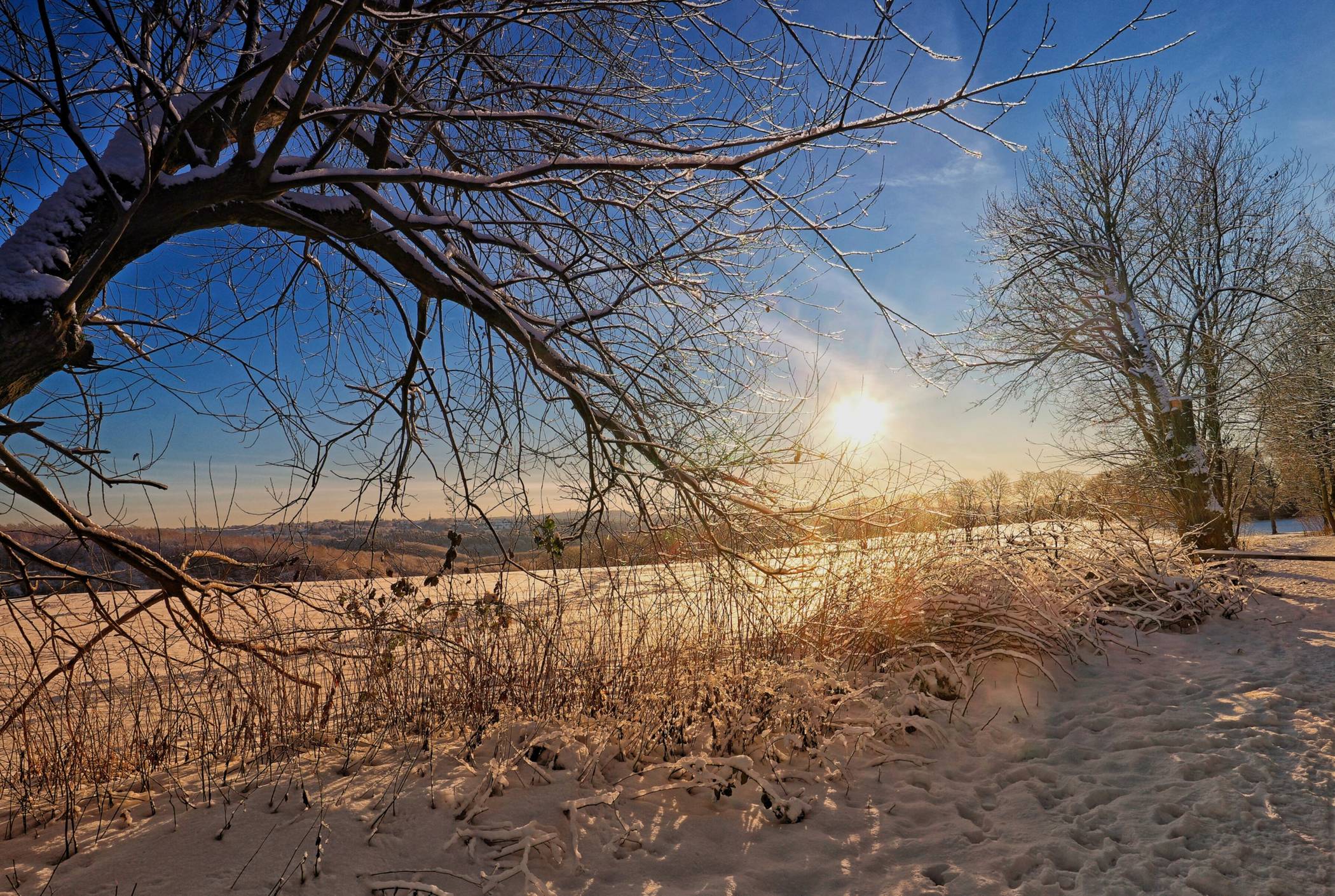 Es gab jede Menge Hingucker.