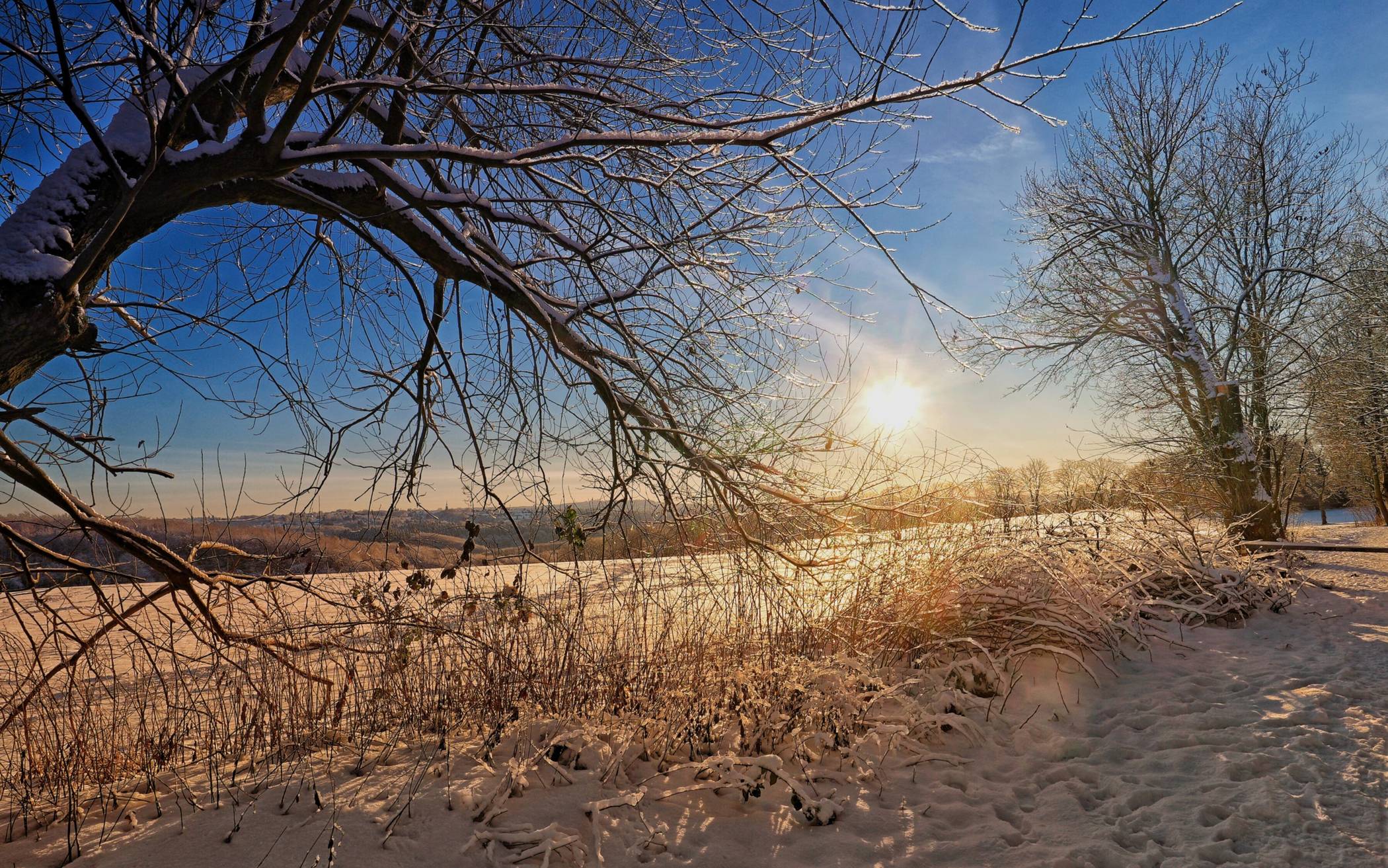 Es gab jede Menge Hingucker.