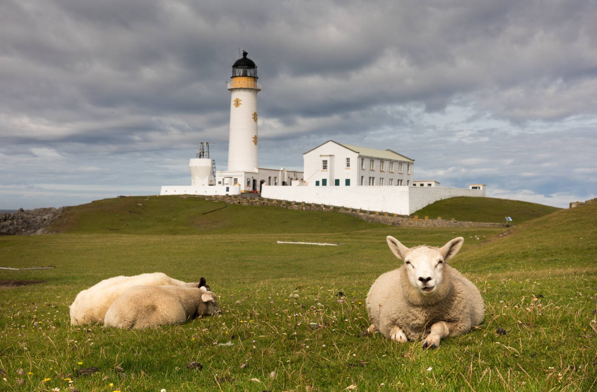 Natur pur im hohen Norden.