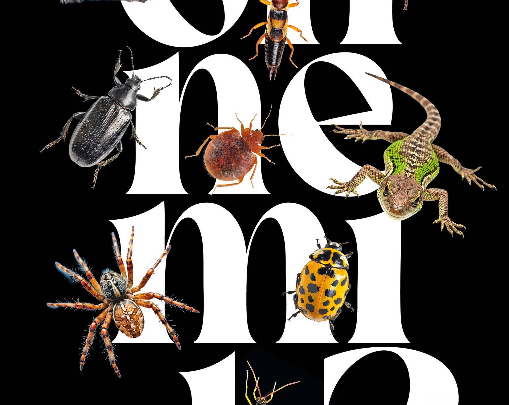 Das Plakat der Ausstellung „ohne mich?“