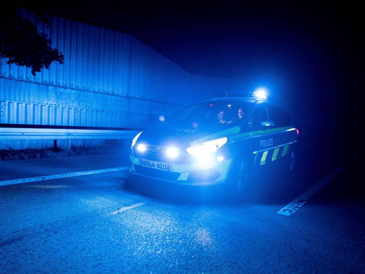 A1: Fünf tote Wildschweine und ein kaputter Wagen